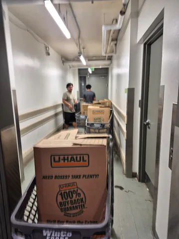Movers using carts to move labeled boxes through an apartment hallway